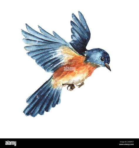 Flying Bird Watercolor Paintings, Bird Painting Flying, Birds In Flight Art, Birds In Flight Drawing, Bird Drawings Flying, Birds Flying Painting, Birds Flying Drawing, Flying Birds Drawing, Bird Flying Drawing