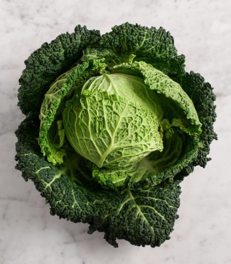 Cabbage Photography, Giant Vegetable, Vegan Ricotta, Savoy Cabbage, Stuffed Cabbage, Idea Photo, Healthy Blood Pressure, Post Workout Food, Green Cabbage