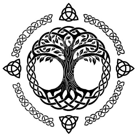 Celtic Tree Of Life Tattoo, Oak Leaf Tattoos, Triskelion Tattoo, Celtic Tree Tattoos, Tree Silhouette Tattoo, Bonsai Tree Tattoos, Celtic Triskelion, Evolution Tattoo, Scottish Symbols