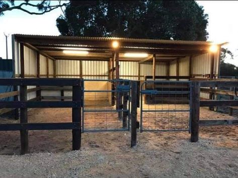 Horse Yards Ideas, Carport Horse Shelter, Horse Runs With Shelter, Horse Pens Ideas, Foaling Stall Ideas, Outdoor Horse Stall Ideas, Horse Set Up, Horse Food Storage, Small Acreage Horse Farm