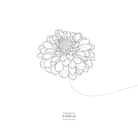 Zinnia Flower Sketch, Zinnia Flowers Tattoo Simple, Zinnia Drawing Simple, Zinnia Tattoo Ideas, Zinnia Flowers Tattoo, Zinnia Flowers Drawing, Zinnia Drawing, Zinnia Tattoo, Playful Wedding