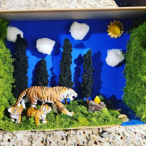 Jaguar Habitat Project For Kids, Tiger Habitat Project, Cheetah Diorama For Kids, Tiger Diorama Habitat, Jaguar Diorama, Jaguar Habitat, Pumas Animal, Habitat Diorama, Habitat Project