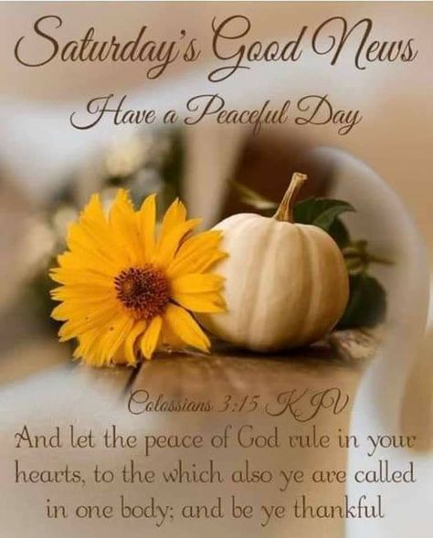 ~Amen~31 October 2020👼 Good Morning Family Quotes, Good Morning Messages Friends, Saturday Morning Quotes, Morning Family, Saturday Blessings, Colossians 3 15, Saturday Images, 2 October, Good Morning Saturday