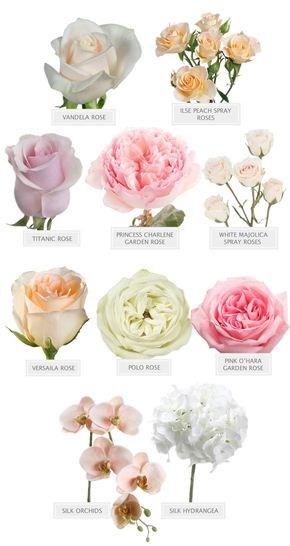 roses and silk flowers used Wedding Bouquet Styles Shape, Bouquet Photoshoot, Flower List, Wedding Flower Types, Flowers Guide, Flower Library, Fifty Flowers, Pantone 2024, Flower Chart