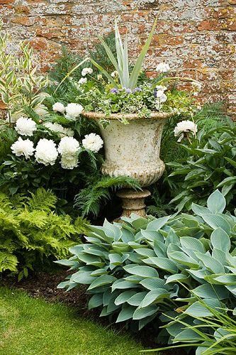 Voordeur bedding Vegetable Garden Soil, Funny Vine, Garden Urns, Moon Garden, Have Inspiration, Garden Containers, French Garden, Garden Soil, Garden Cottage