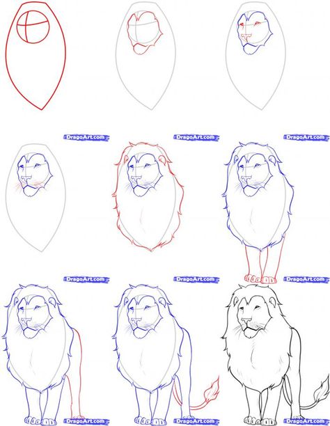 Lion drawing Draw Lion, Sketches Cartoon, Lion Roaring, Drawing Steps, Draw Realistic, Lion Drawing, Draw Animals, Lion Face, Step Drawing