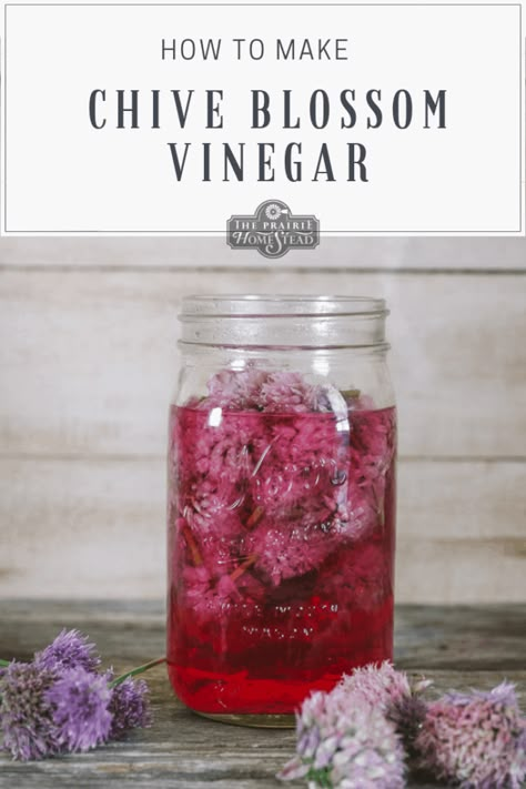 Chive Blossom Vinegar Recipe • The Prairie Homestead The Prairie Homestead, Spring Harvest, Flavored Vinegars, Types Of Vinegar, Chive Blossom, Prairie Homestead, Homemade French Fries, Garden Harvest, Garden Recipes