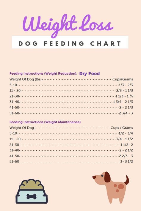 Diy Dry Shampoo, Shampoo Recipe, Food Chart, Dog Weight, Food Charts, Best Dog Food, Skin Care Items, Dog Feeding, Weight Reduction