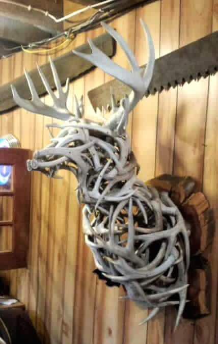 Awesome deer mount out of sheds Deer Antler Decor Ideas, Deer Hunting Decor, Antler Ideas, Antler Mount, Deer Antler Decor, Antlers Decor, Antler Crafts, Deer Mounts, Deer Horns