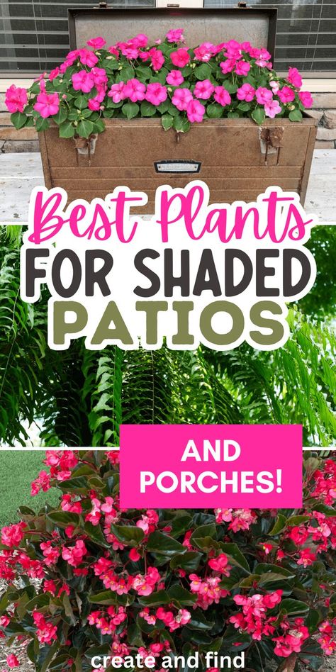 Collage of spring plants and flowers for shaded porches and covered patios. Front Porch Flower Pots Entrance Shade, Front Porch Container Garden, Shaded Potted Plants, Hanging Plant Pots Outdoor, Outdoor Patio Flower Ideas, Full Shade Container Ideas, Shade Spiller Plants, Best Plants For Covered Porch, Patio Plants In Pots Shade