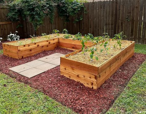 Risen Garden Beds, L Shaped Garden Bed, U Shaped Garden Bed, U Shaped Raised Garden Beds, U Shape Garden, Raised Bed Design, Garden Bed Diy, Flower Beds Diy, Backyard Raised Garden Beds