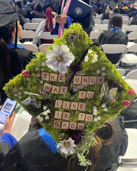 Commencement on our minds, fabulous grad caps on our heads! Check out these fantastic cap designs from our recent grads! 🎓💙#TheStateWay… | Instagram Unique Caps For Graduation, Decorative Graduation Caps, Cool Graduation Cap Designs, Cool Cap Ideas, Pitbull Graduation Cap, Creative Graduation Cap Designs, Grad Cap Ideas Bookworm, Decorated College Graduation Caps, Graduation Cap Designs Tlou