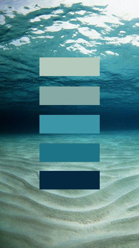 Color Schemes Colour Palettes, Ocean Floor, Blue Palette, Color Palette Design, Trik Fotografi, Color Inspo, Colour Schemes, Color Pallets, Color Swatches