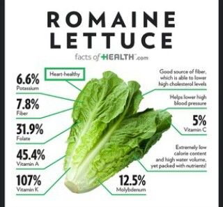 Romaine Lettuce Food Health Benefits, Coconut Health Benefits, Shared Folder, Healing Food, Romaine Lettuce, Food Facts, Health Facts, Nutrition Recipes, Health Remedies