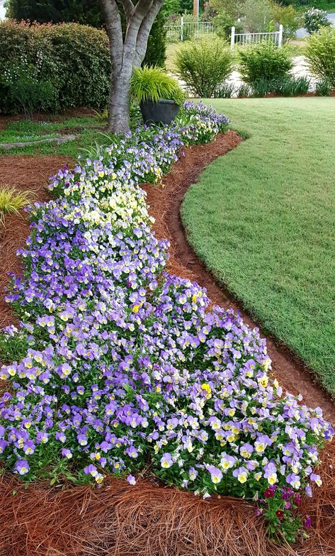 Front Yard Landscaping Georgia, Georgia Landscaping Ideas, South Georgia Landscaping Ideas, Georgia Landscape Ideas, Mailbox Garden Ideas, Fall Landscaping Front Yard, Flower Garden Aesthetic, Georgia Gardening, Georgia Garden