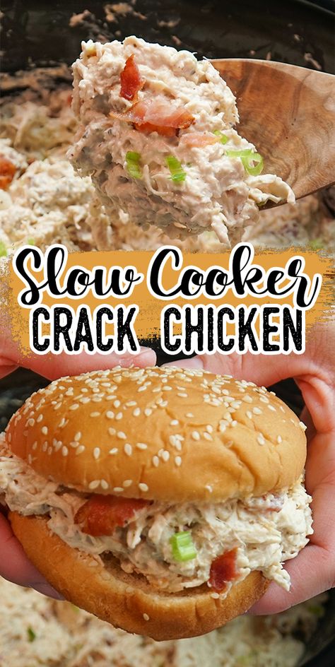 Sloppy Chicken Sandwiches Crock Pot, Crock Pot Chicken Salad Recipe, Pulled Chicken Sandwich Recipes, Pulled Chicken Crock Pot Recipes Easy, Best Pulled Chicken Crock Pot Recipes, Pulled Chicken Ideas, Crock Pot Chicken Sandwiches, Crock Pot Potluck Ideas, Pulled Chicken Recipe Ideas