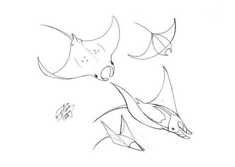 Stingray Line Drawing, Mantaray Tattoo Design, Manta Ray Drawing Sketch, Manga Ray Tattoo, Cute Stingray Drawing, Mantaray Drawing, Sting Ray Tattoo, Mantaray Tattoo, Manta Ray Drawing