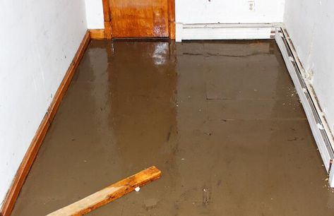 Wet Basement, Flooded Basement, Water Damage Repair, Emergency Water, Flood Damage, Waterproofing Basement, Carpet Cleaning Service, Basement Walls, Sump Pump