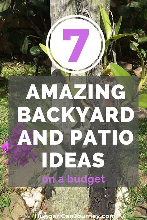 Bamboo Backyard, Muddy Backyard, Backyard Bamboo, Cheap Outdoor Patio Ideas, Small Patio Decor, Cozy Garden, Amazing Backyard, Cheap Backyard, Cheap Patio