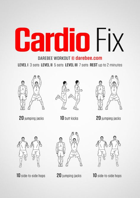 How to Cardio-Fix Your Body: The Ultimate Workout - Infographic Workout Infographic, Darebee Workout, Beginner Cardio Workout, Ladder Workout, Beginners Cardio, Hiit Benefits, What Is Hiit, Isometric Exercises, Sixpack Workout