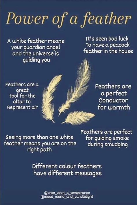 Feathers In Witchcraft, Gray Feather Meaning, Feather Spiritual Meaning, White Feather Meaning, Feather Color Meaning, Feather Identification, Feather Magic, Finding Feathers, Feather Symbolism