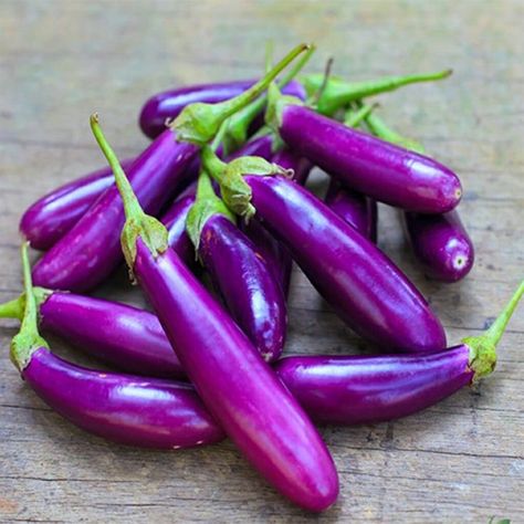 Purple Vegetables, Eggplant Seeds, Seed Raising, Purple Eggplant, When To Plant, Summer Harvest, Eggplant Recipes, Mediterranean Cuisine, Eggplant Purple