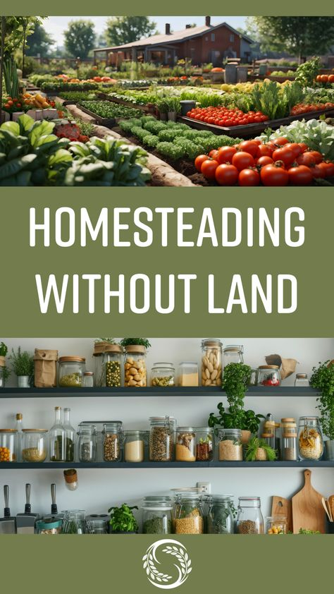 🌿 Dreaming of homesteading but don't have land yet? We're in the same boat! See how we're preparing for our future farm and embracing the homesteading lifestyle while we wait. #HomesteadingWithoutLand #FarmLifeDreams #SeasonallyHomemade

https://seasonallyhomemade.com/homesteading-without-land/ Homesteading Without Land, Micro Homesteading, Micro Homestead, Composting Food Scraps, Dreams For The Future, Self Sufficient Homestead, Witchy Garden, Off Grid Homestead, Micro Farm