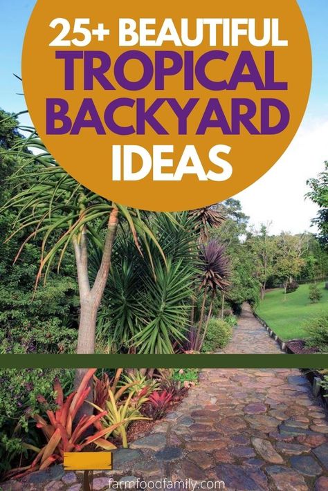 If you want to create your piece of paradise in your backyard, try the tropical design. With the best tropical backyard design, your family will have the best relaxing spot. Tropical Backyard Ideas, Florida Plants Landscaping, Tropical Outdoor Decor, Tropical Garden Plants, Tropical Backyard Landscaping, Small Tropical Gardens, Outdoor Makeover, Tropical Landscape Design, Florida Landscaping