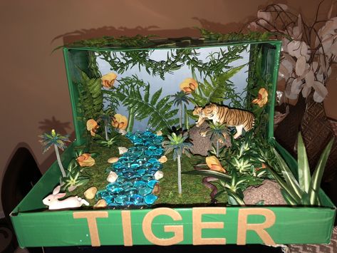 Jungle diorama - tiger habitat Elementary school project Zebra Habitat Diorama, Zebra Diorama Project, Zebra Habitat, Jungle Diorama, Animal Diorama, Ecosystem Project, Kindergarten Science Projects, Habitat Project, Elementary School Projects