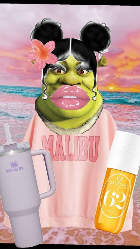 Preppy Shrek Baddie Shrek, Preppy Baddie, Shrek Funny, Cute Home Screen Wallpaper, Cute Home Screens, Cute Funny Pics, Sephora Skin Care, Crazy Funny Pictures, Funny Character