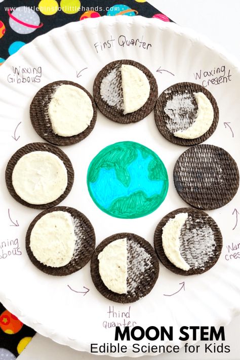 Moon Phases Activity, Oreo Moon Phases, Moon Phases Activities, Moon Activities, Space Unit, Moon Crafts, Kid Experiments, Science Projects For Kids, Homeschool Activities