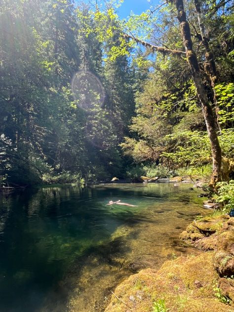 Nature, Water Hole Aesthetic, Portland Oregon Nature, Creek Swimming Aesthetic, Swimming Hole Aesthetic, Nature Summer Aesthetic, River Swimming Aesthetic, Oregon Summer Aesthetic, Swimming River