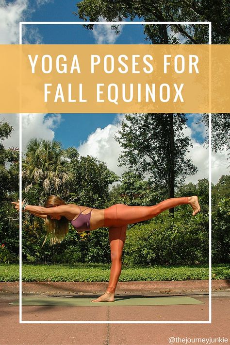 Fall Yoga, Zen Life, Yoga World, Yoga Tutorial, Yoga Sequence, Basic Yoga, Yoga Community, Ashtanga Yoga, Yoga Postures