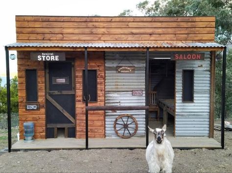 2 Story Goat House, Lamb House Ideas, Chicken Coop And Goat Pen, Chicken And Goat House, Goat And Chicken Pen, Goat Pens Ideas, Small Goat House, Cute Goat House Ideas, Goat And Chicken House