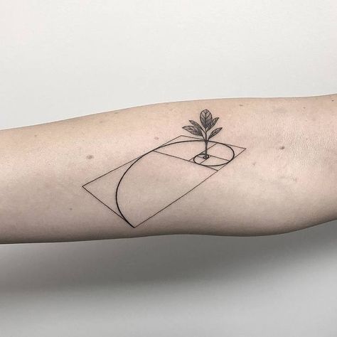 40 Amazing Fibonacci Tattoo Designs | TattooAdore Tattoo Animation, Animation Tattoo, Golden Ratio Tattoo, Designer Tattoo, Fibonacci Tattoo, Italy Tattoo, Inspo Tattoo, Tattoo Designer, Shop Tattoo