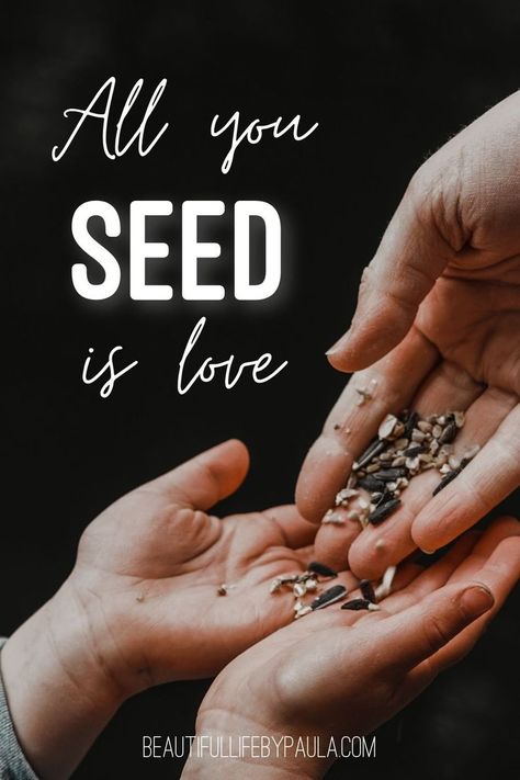 Seeds Quotes Inspiration, Sowing Seeds Quotes, Planting Seeds Quotes, Plant Sayings, Seed Quotes, Healing Habits, Gardening Quotes, Soul Collage, The Tiny Seed