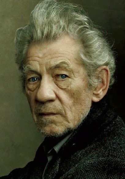 Male Portrait Pose Reference, Face Oil Painting, Sir Ian Mckellen, Old Man Face, Old Man Portrait, Men's Portrait Photography, Person Photography, Ian Mckellen, Person Drawing