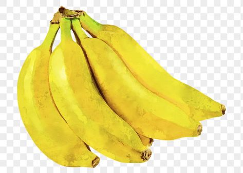 Banana Aesthetic, Banana Png, Banana Illustration, Fruit Drawing, Banana Sticker, Yellow Banana, Fruits Drawing, Food Png, Banana Fruit