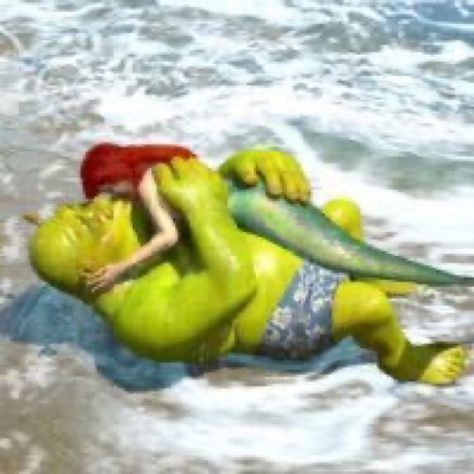 Shrek Character, 2 Wallpaper, Dreamworks Animation, Pop Culture References, Funny Profile Pictures, Funny Reaction Pictures, Shrek, Reaction Pictures, Dreamworks