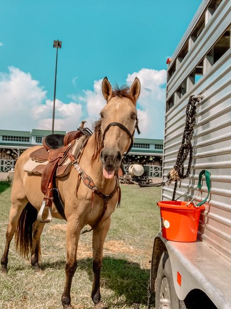 Barrel horse
Barrel racing 
Barrel racer
Rodeo
Buckskin 
Cowboy 
Cow horse
Cowgirl
Youth worlds
NBHA Rodeo Horses Barrels, Barrel Racing Aesthetic, Horse Barrel Racing, Barrel Racing Tack Rodeo, Barrel Train, Horsey Life, Buckskin Horse, Cow Horse, Barrel Racing Tack