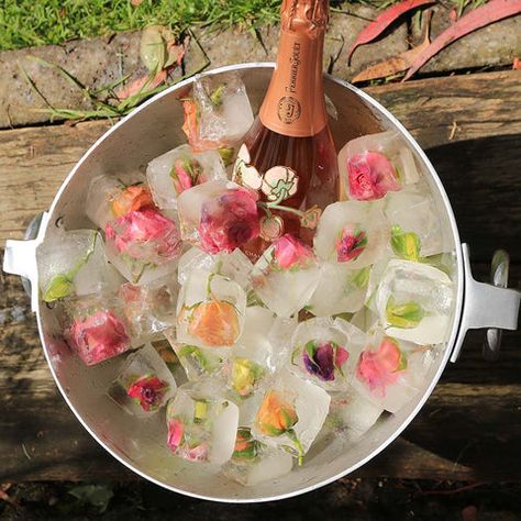 Champagne Board, Floral Ice Cubes, Flower Ice Cubes, Floral Ice, Bridal Shower Inspo, Flower Ice, Birthday Dinner Party, Birthday Brunch, Garden Birthday