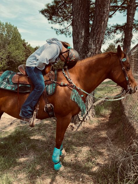 Barrel Racing, Barrel