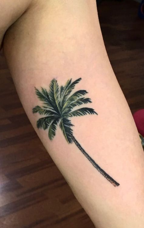 Palm tree Color Palm Tree Tattoo, Minimalist Palm Tree Tattoo, Palm Tree Tattoos For Women, Tree Tattoo Color, Ankle Band Tattoo, Palm Tree Tattoo Ankle, Palm Tattoo, Starfish Tattoo, Tropical Tattoo