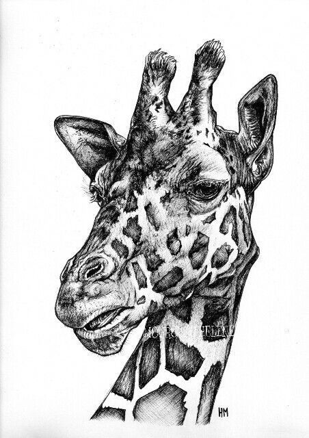 Unlock Your Artistic Potential: Master the Art of Pencil Drawing click to learn more... Cool Sharpie Drawings, Alpha Art, Pen Art Work, Eagle Painting, Pencil Drawings Of Animals, Animal Drawings Sketches, Woodburning Projects, Pen Art Drawings, Giraffe Art