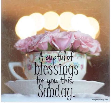 A Cup Full Of Blessings For You This Sunday good morning sunday sunday quotes good morning quotes happy sunday sunday quote happy sunday quotes good morning sunday Week Blessings, Sunday Humor, Sunday Morning Quotes, Sunday Quotes Funny, Sunday Greetings, Daily Humor, Sunday Wishes, Sunday Blessings, Weekday Quotes