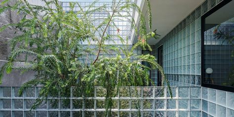 glass block skin enfolds refraction house by RAD+ar in indonesia Denmark House, Foyer Ideas Entryway, House Balcony, Modular Structure, Glass Brick, Glass Block, Ground Floor Plan, Architect House, Interior Garden