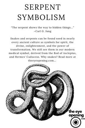 Snake worship and imagery were commonplace in almost every ancient culture around the world. Why snakes? I believe Kundalini Yoga gives us insight into why snakes were so important to the majority of the earth's ancient traditions. #meditation #snakes #kundalini #ancienttraditions #ancientwisdom #thirdeye #enlightenment #spirituality #wakeup #woke #thethirdeye #yoga Serpent Symbolism, Snake Meaning, Snake Symbolism, Snake Tattoo Meaning, Hand Tatto, Small Wave Tattoo, Serpent Tattoo, Eye Meaning, Magic Tattoo