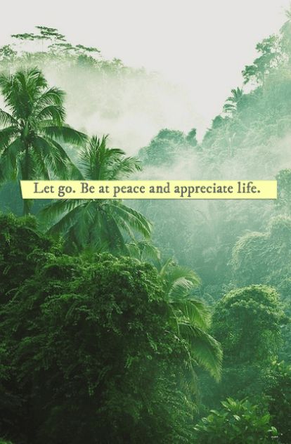 #quotes #inspirational #positive #smart #life Being At Peace, Peace And Calm, Be At Peace, Appreciate Life, Life Poster, At Peace, Quotes About Strength, Inspiring Quotes, Let Go