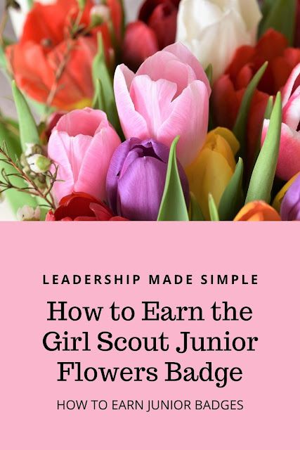 How to Earn Junior Girl Scout Badges: How to Earn the Girl Scout Junior Flowers Badge Eco Camper Junior Badge Requirements, Junior Girl Scout Meeting Ideas, Girl Scout Juniors Activities, Junior Flower Badge, Junior Badges Girl Scouts, Girl Scout Badge Ideas, Junior Badge Ideas, Girl Scout Junior Badges, Junior Girl Scouts Activities