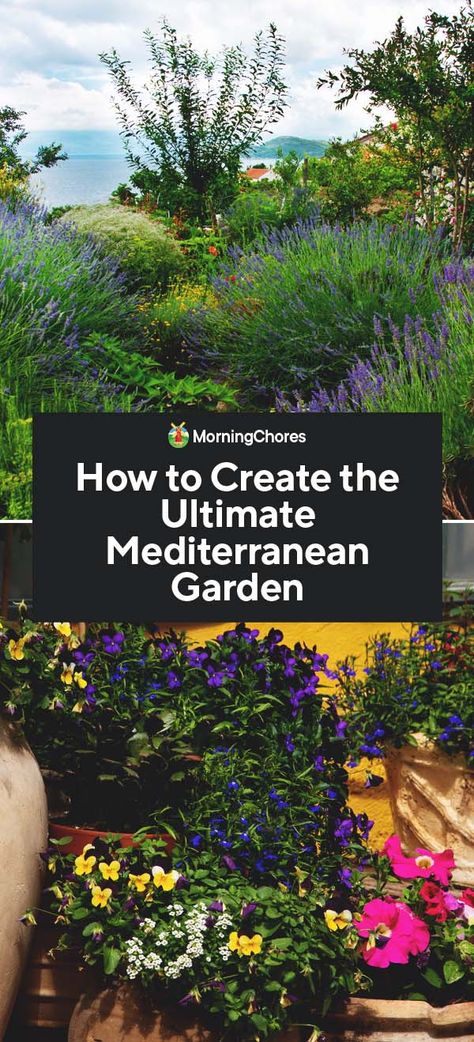 How to Create the Ultimate Mediterranean Garden Mediterranean Hillside Garden, Small Mediterranean Patio Ideas, Low Maintenance Mediterranean Garden, Uk Mediterranean Garden, Mediterranean Plants In Pots, Italian Garden Plants, Rustic Mediterranean Garden, Garden Design Mediterranean, Mediterranean Front Courtyard